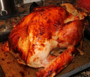 turkey small