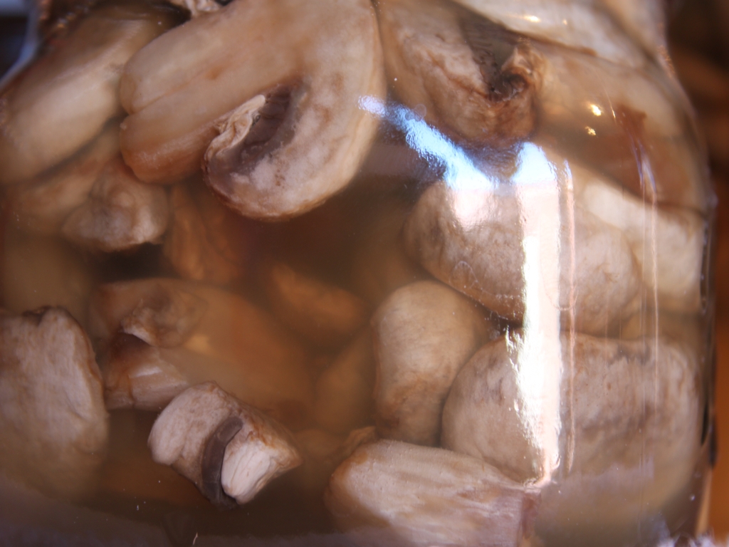 canning mushrooms4