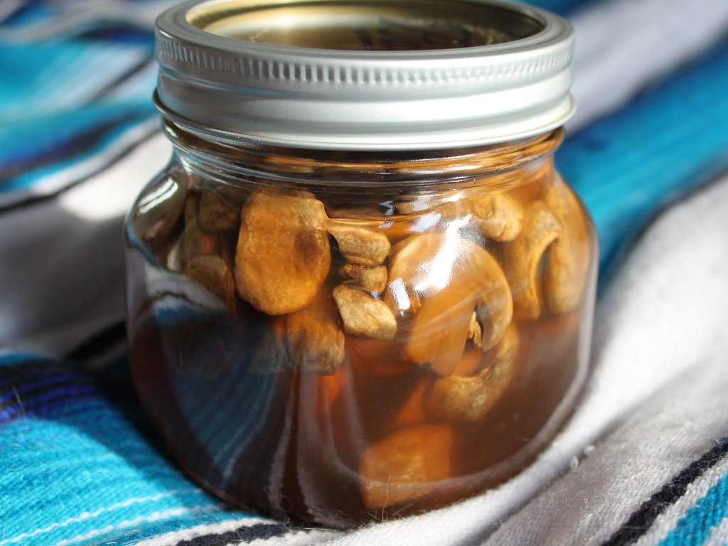 canning mushrooms5