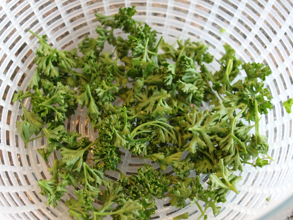 drying parsley2